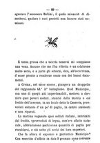 giornale/TO00182419/1865/V.6/00000259