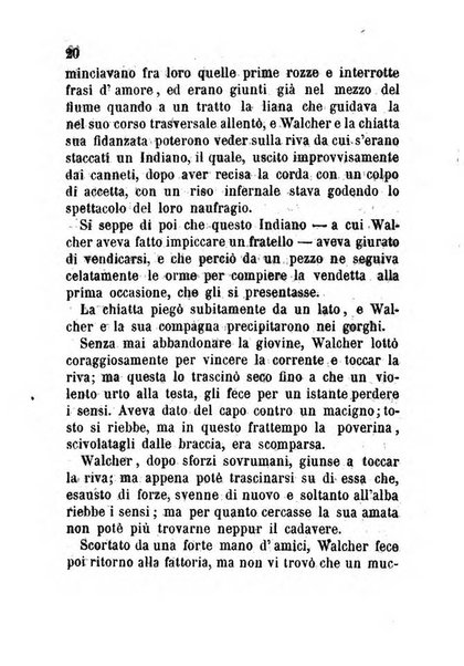 La cronaca grigia pubblicazione settimanale