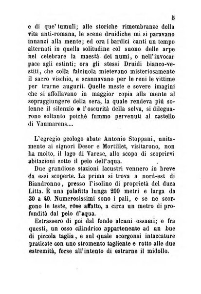 La cronaca grigia pubblicazione settimanale