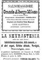 giornale/TO00182456/1899/v.1/00000263