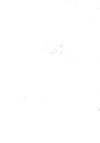 giornale/TO00182506/1893/unico/00000004