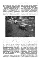 giornale/TO00182518/1911-1912/unico/00000099