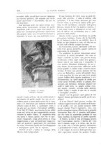 giornale/TO00182518/1911-1912/unico/00000338