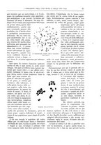 giornale/TO00182518/1912-1913/unico/00000059