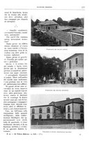 giornale/TO00182518/1912-1913/unico/00000207