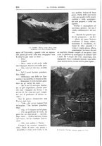 giornale/TO00182518/1912-1913/unico/00000264