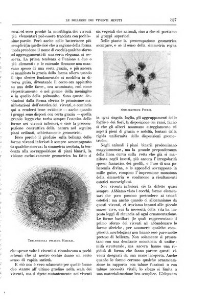 La cultura moderna rivista quindicinale illustrata