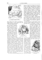 giornale/TO00182518/1912-1913/unico/00000446