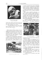 giornale/TO00182518/1912/unico/00000180