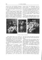 giornale/TO00182518/1912/unico/00000668