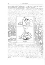 giornale/TO00182518/1912/unico/00000898