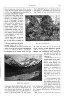giornale/TO00182518/1913-1914/unico/00000043