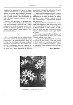 giornale/TO00182518/1913-1914/unico/00000045