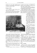 giornale/TO00182518/1913-1914/unico/00000054