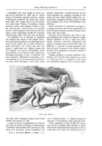 giornale/TO00182518/1913-1914/unico/00000067