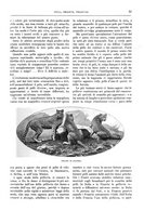 giornale/TO00182518/1913-1914/unico/00000069