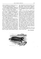 giornale/TO00182518/1913-1914/unico/00000071