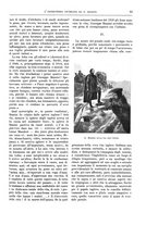 giornale/TO00182518/1913-1914/unico/00000119