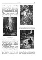 giornale/TO00182518/1913-1914/unico/00000215