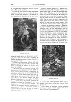 giornale/TO00182518/1913-1914/unico/00000216