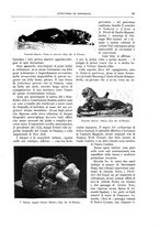 giornale/TO00182518/1913/unico/00000111