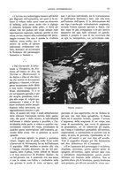 giornale/TO00182518/1914-1915/unico/00000029