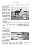 giornale/TO00182518/1914-1915/unico/00000061