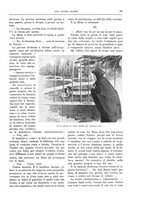 giornale/TO00182518/1914-1915/unico/00000071