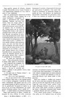 giornale/TO00182518/1914-1915/unico/00000127