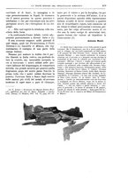 giornale/TO00182518/1914-1915/unico/00000475