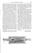 giornale/TO00182518/1914/unico/00000907