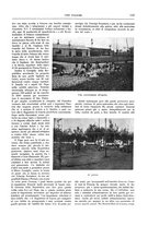 giornale/TO00182518/1915-1916/unico/00000159