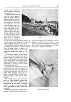 giornale/TO00182518/1915-1916/unico/00000201