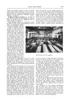 giornale/TO00182518/1915-1916/unico/00000247
