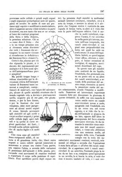 La cultura moderna rivista quindicinale illustrata