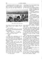 giornale/TO00182518/1915-1916/unico/00000300