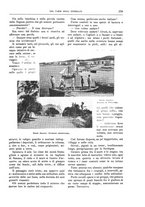giornale/TO00182518/1915-1916/unico/00000301
