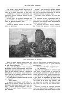 giornale/TO00182518/1915-1916/unico/00000303