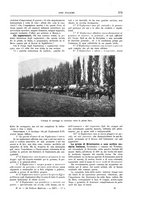 giornale/TO00182518/1915-1916/unico/00000315