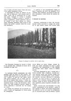 giornale/TO00182518/1915-1916/unico/00000875