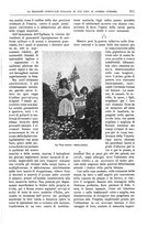 giornale/TO00182518/1915-1916/unico/00000907