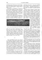 giornale/TO00182518/1915/unico/00000384