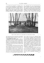 giornale/TO00182518/1916-1917/unico/00000048