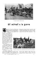 giornale/TO00182518/1916-1917/unico/00000157