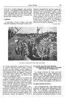 giornale/TO00182518/1916-1917/unico/00000179