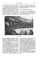 giornale/TO00182518/1916-1917/unico/00000183