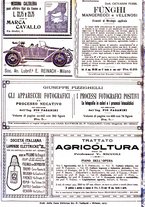 giornale/TO00182518/1916-1917/unico/00000198