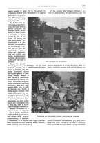 giornale/TO00182518/1916-1917/unico/00000239