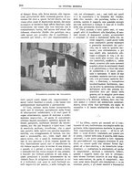 giornale/TO00182518/1916-1917/unico/00000240