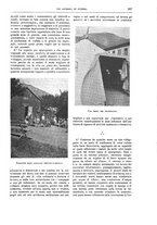 giornale/TO00182518/1916-1917/unico/00000241